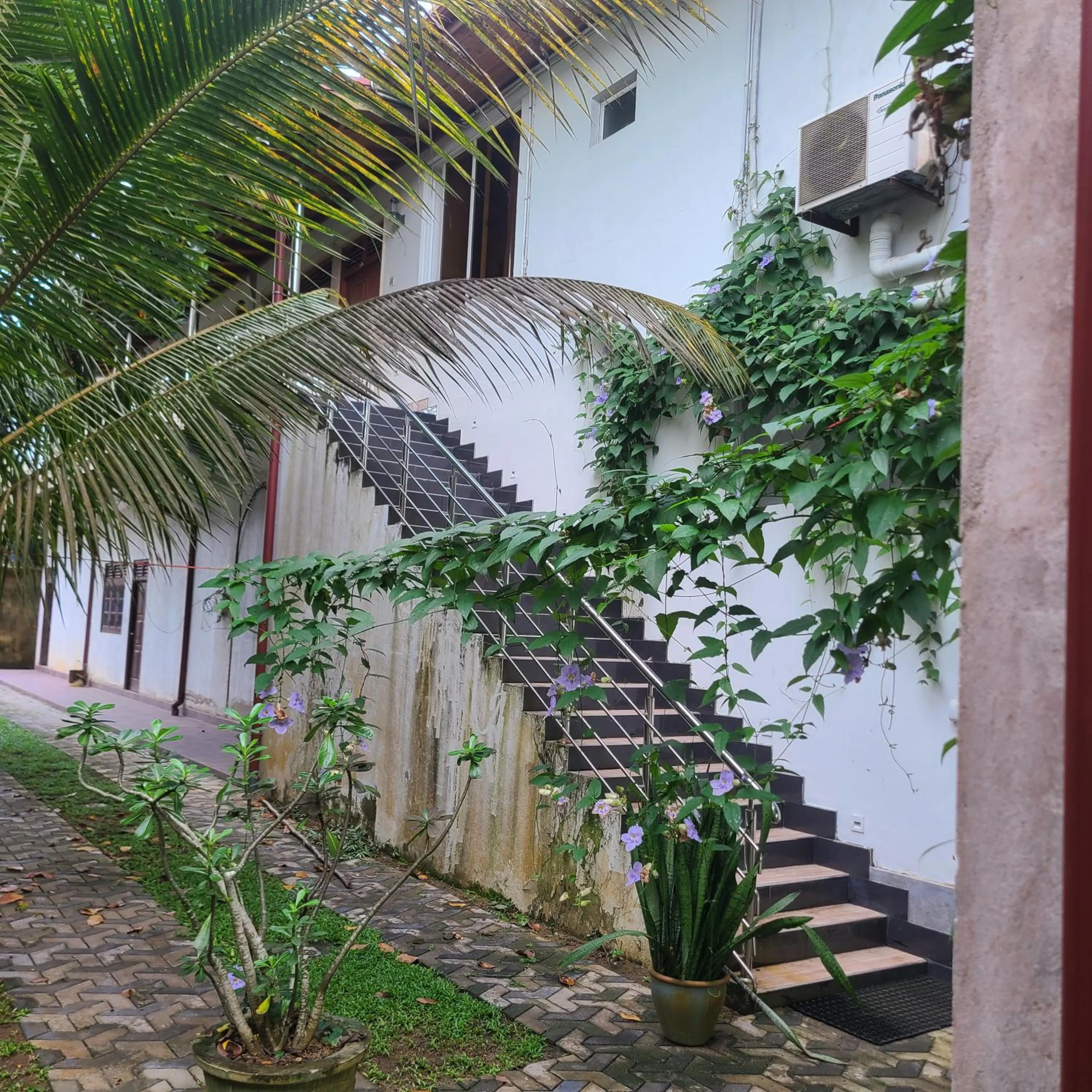 Garden view in GG Lodge Mirissa