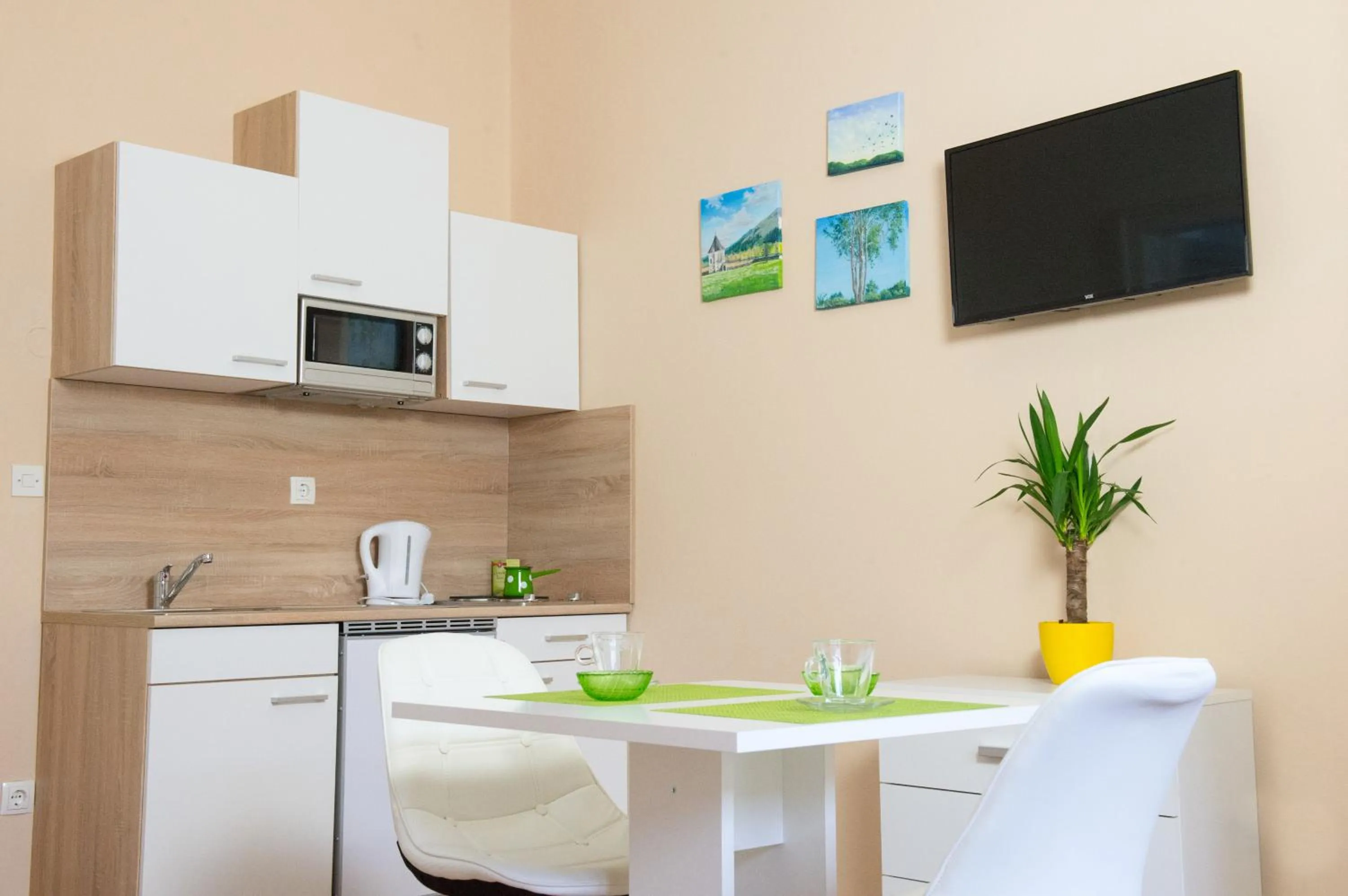 TV and multimedia in B&B Vila Teslova