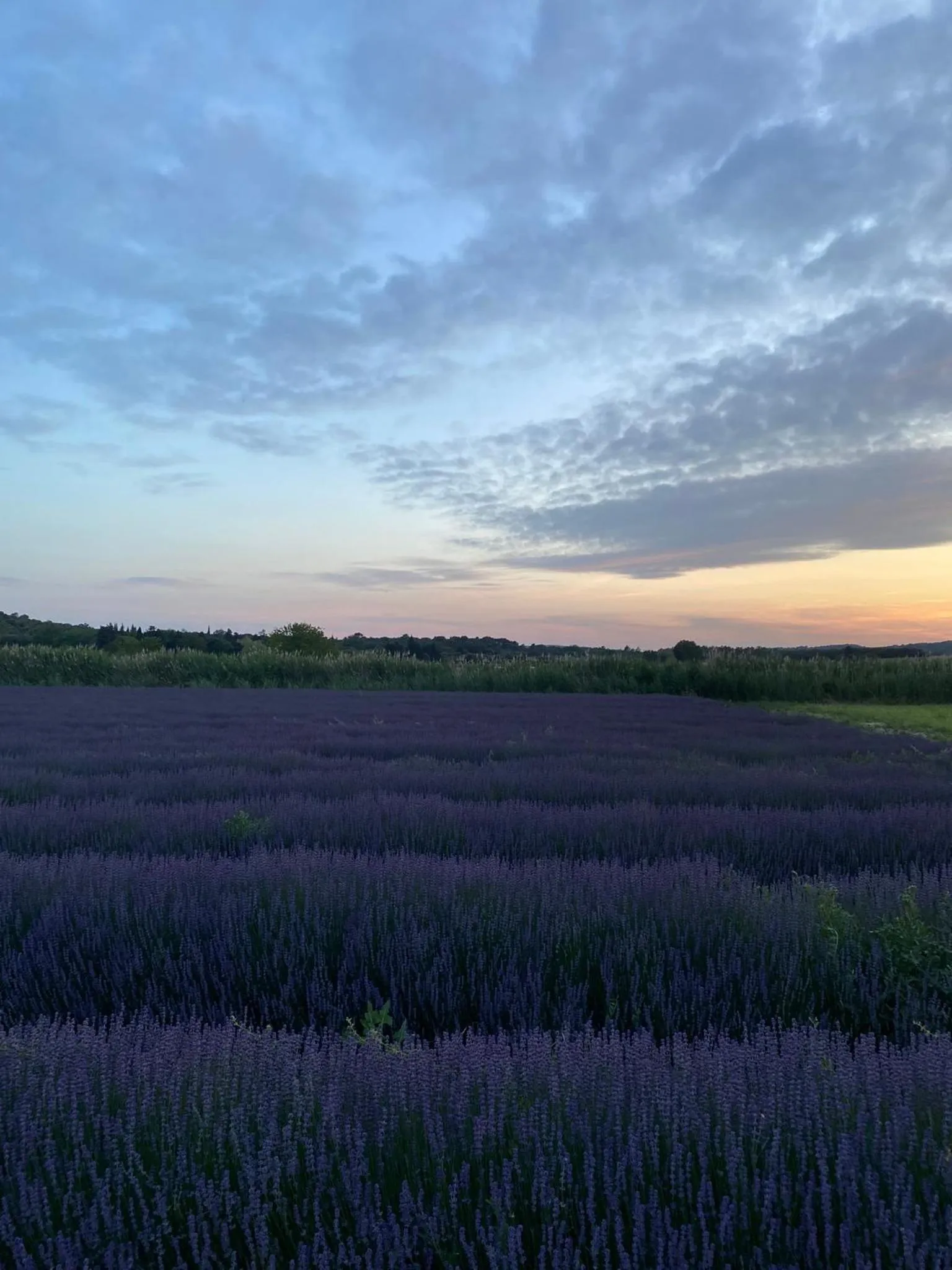 Neighbourhood in Le Moulin de Montségur
