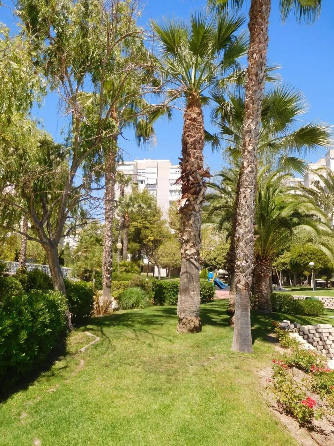 Precious Apartment in Alicante, Playa San Juan