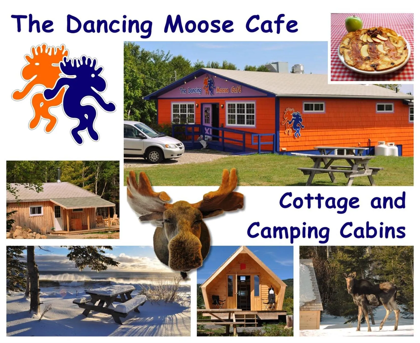 The ZzzzMoose 2 0 Camping Cabin