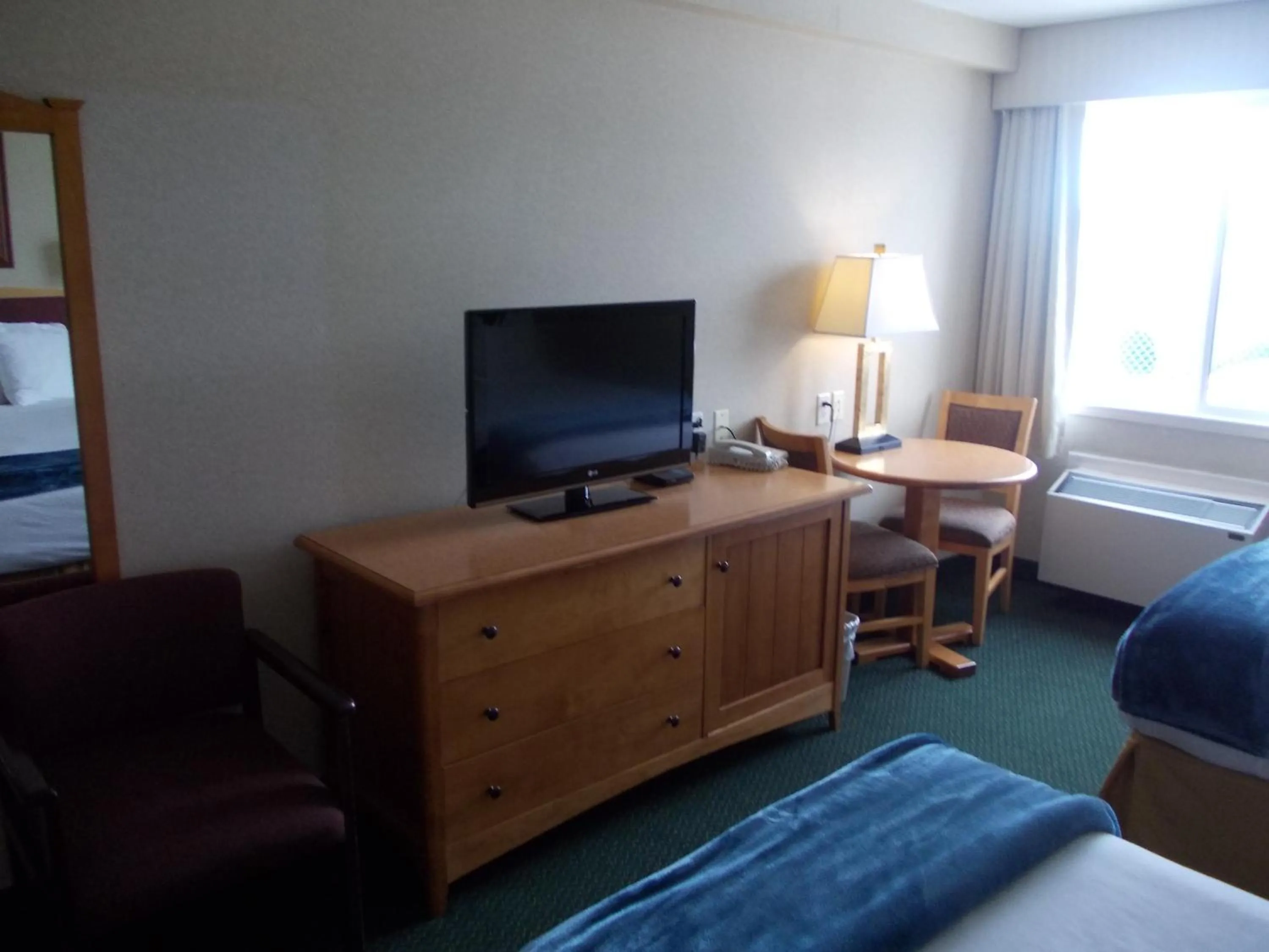 Bed in Rocky Inn Express