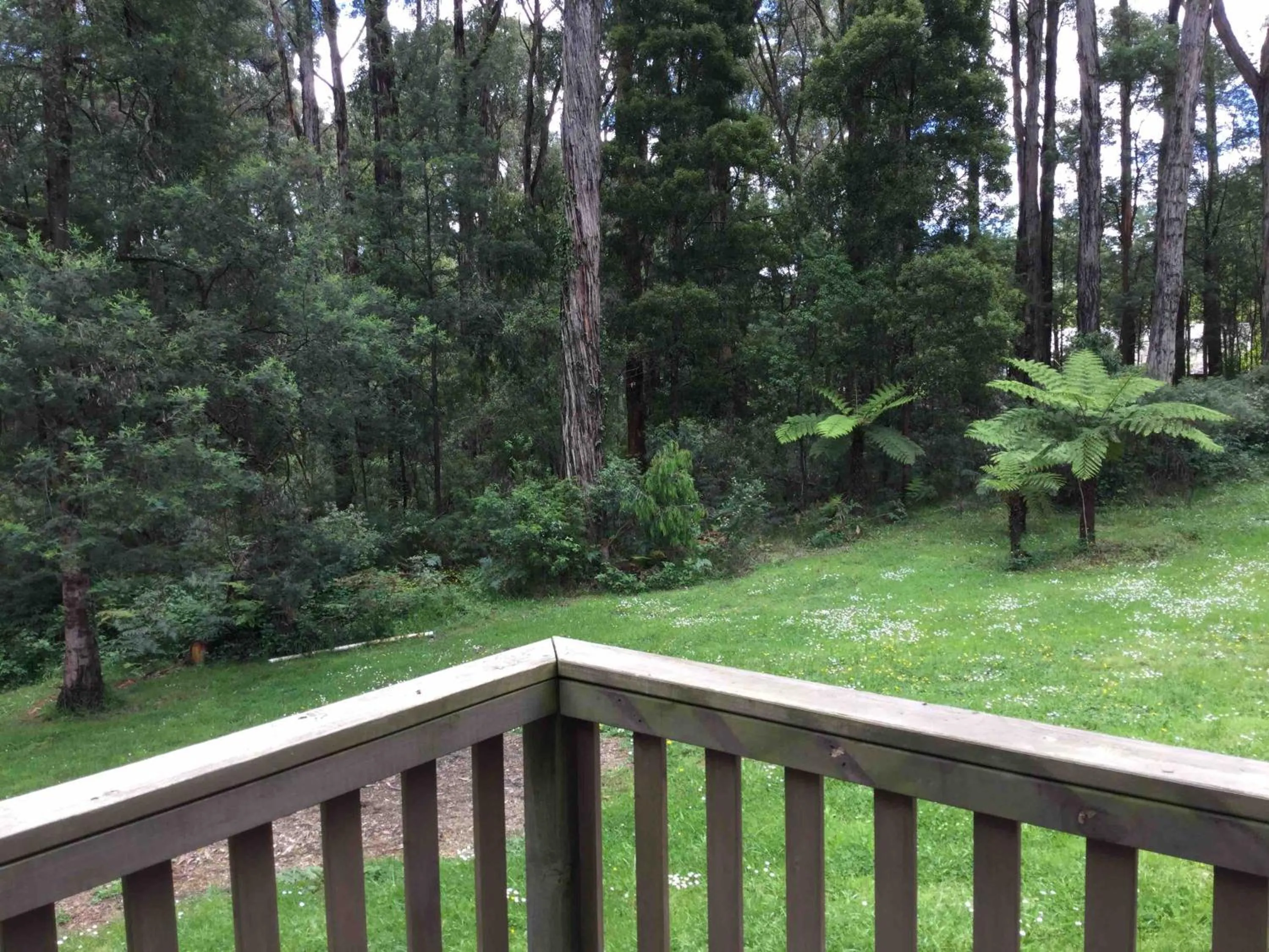 Balcony/Terrace in Emerald Creek Cottages