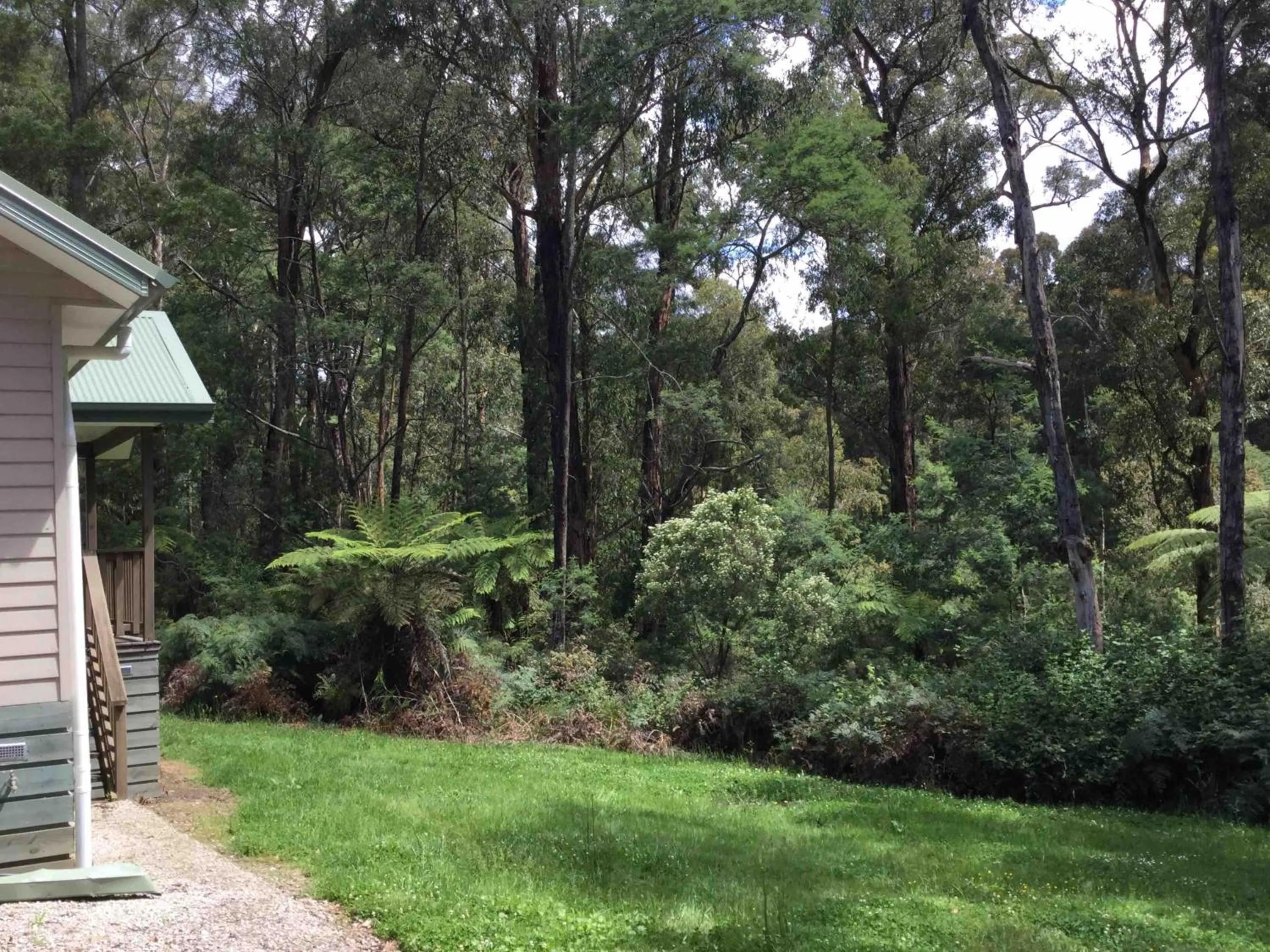 Garden in Emerald Creek Cottages