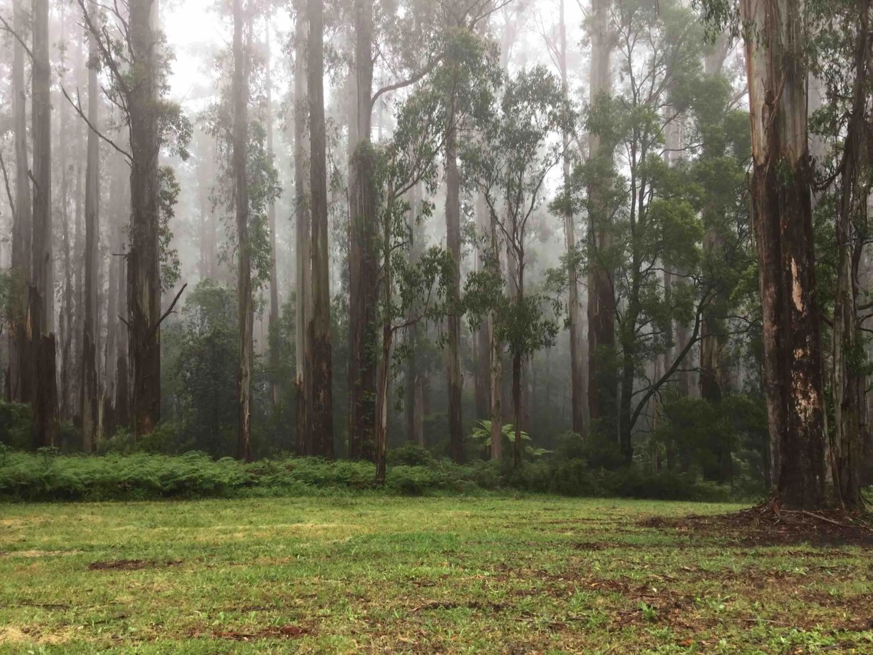 Off site in Emerald Creek Cottages