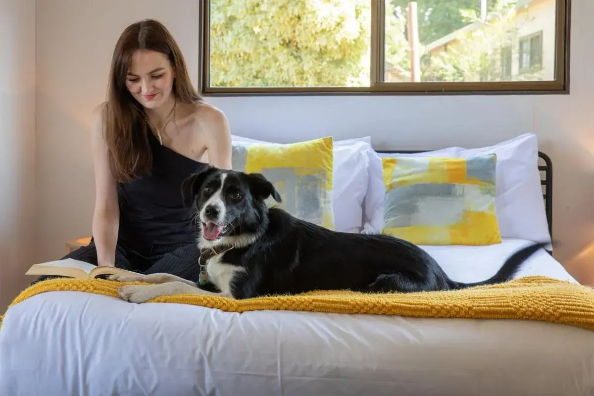 Bark Royal Studio (Dog Friendly) in Daylesford Holiday Park Bark Royal Studio (Dog Friendly) in Daylesford Holiday Park