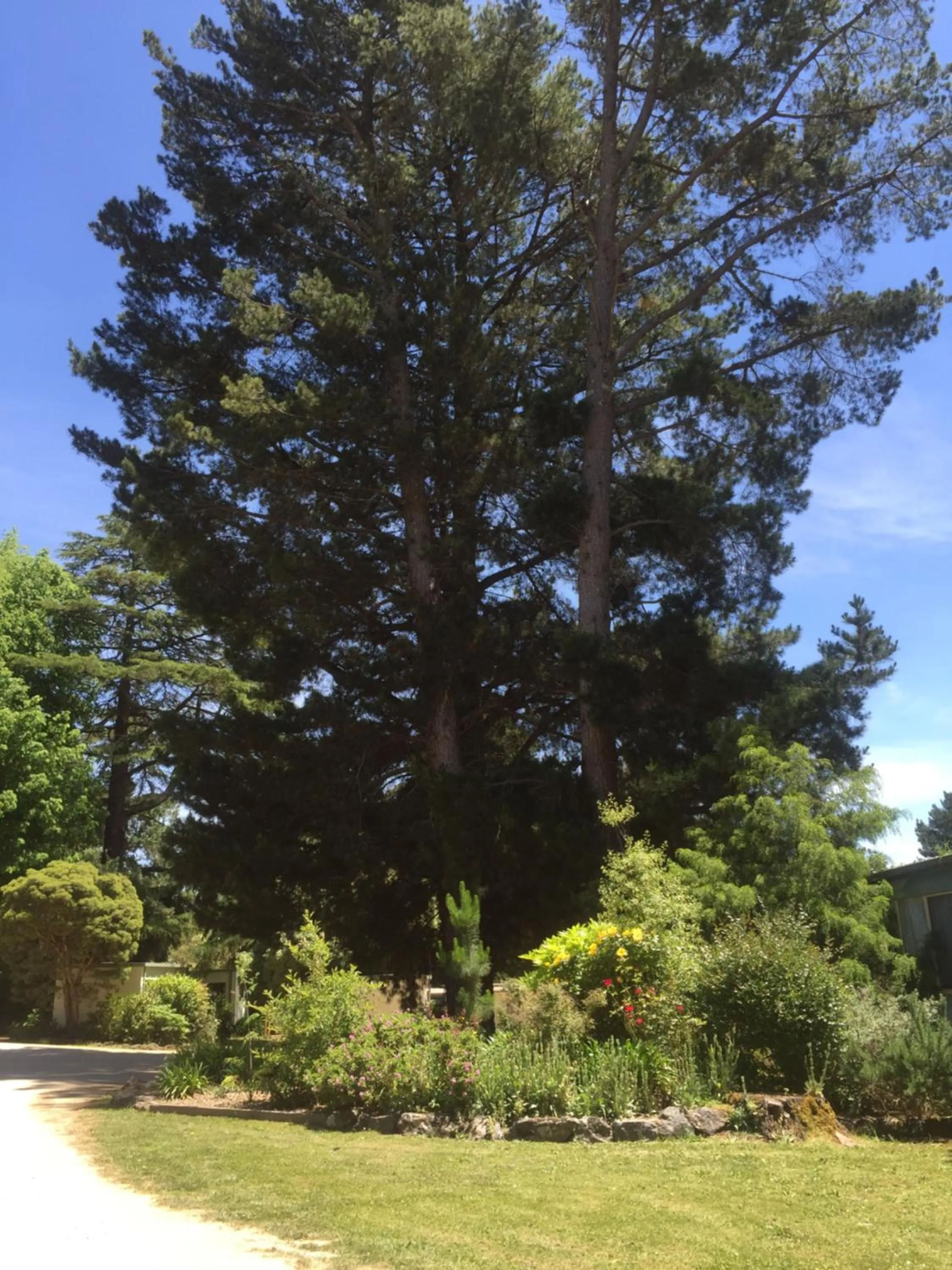 Property building in Daylesford Holiday Park