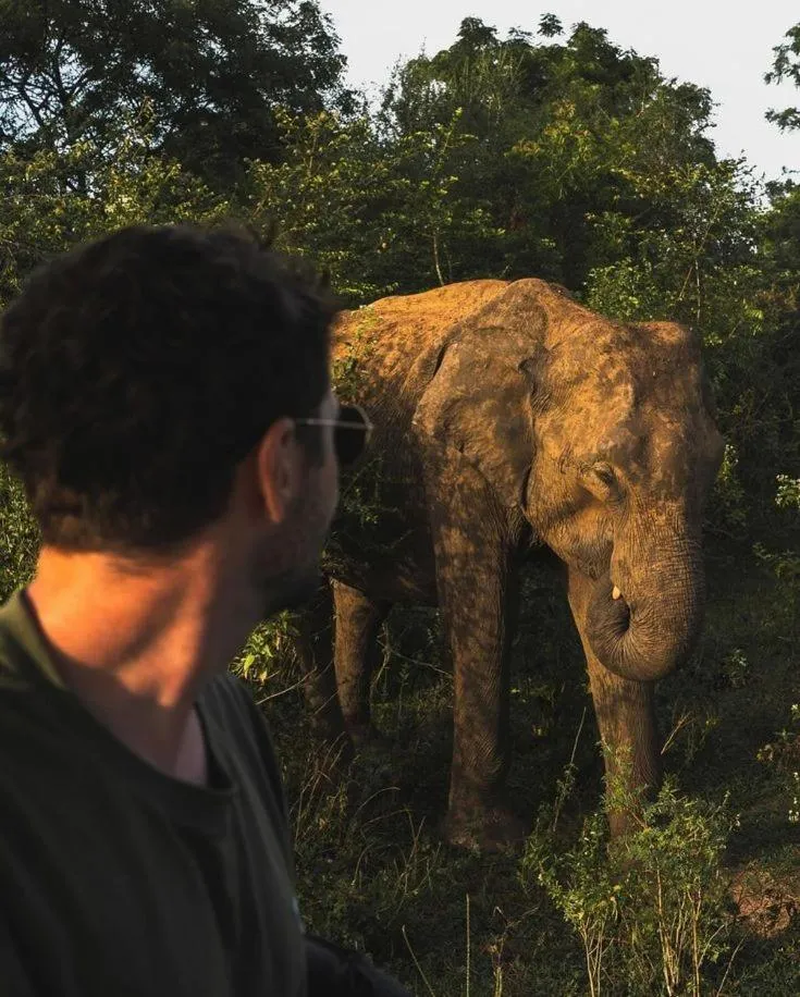 Nature lovers Safari Cottage