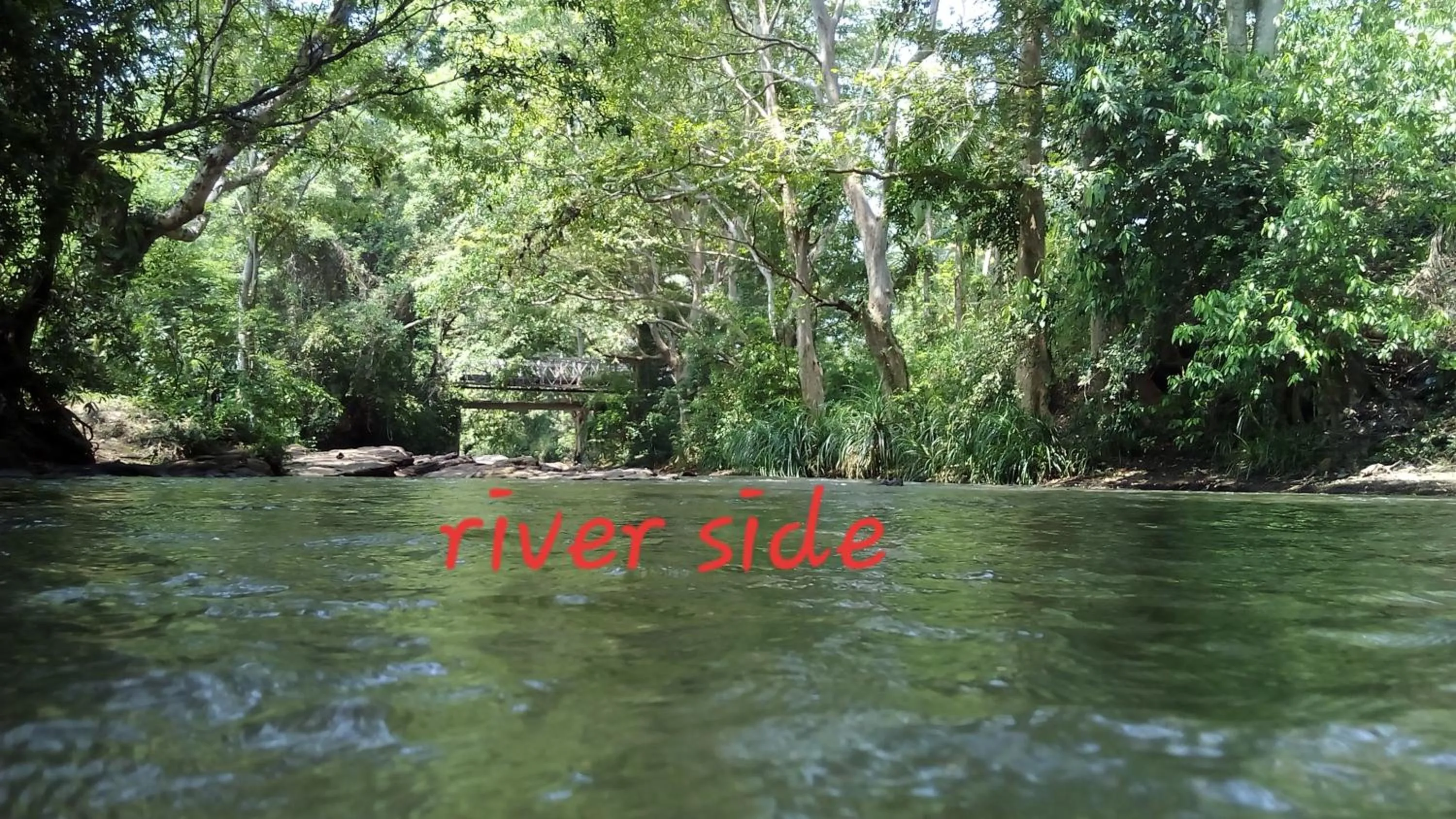 Nature lovers Safari Cottage