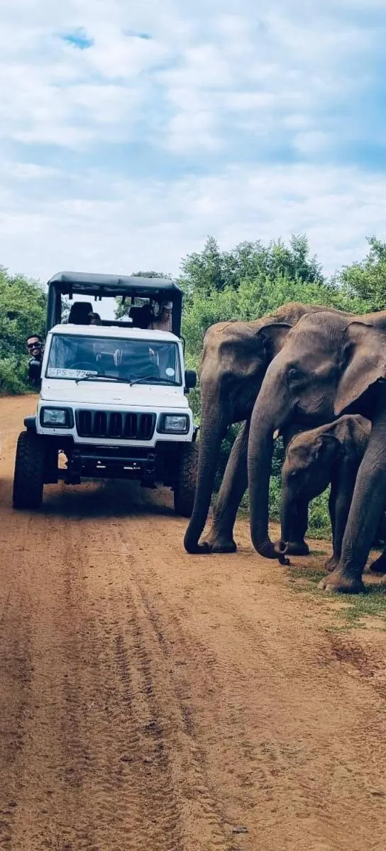 Nature lovers Safari Cottage