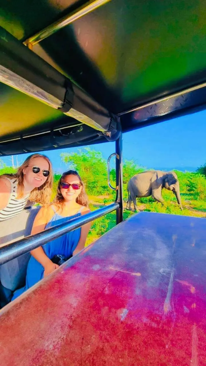 Nature lovers Safari Cottage