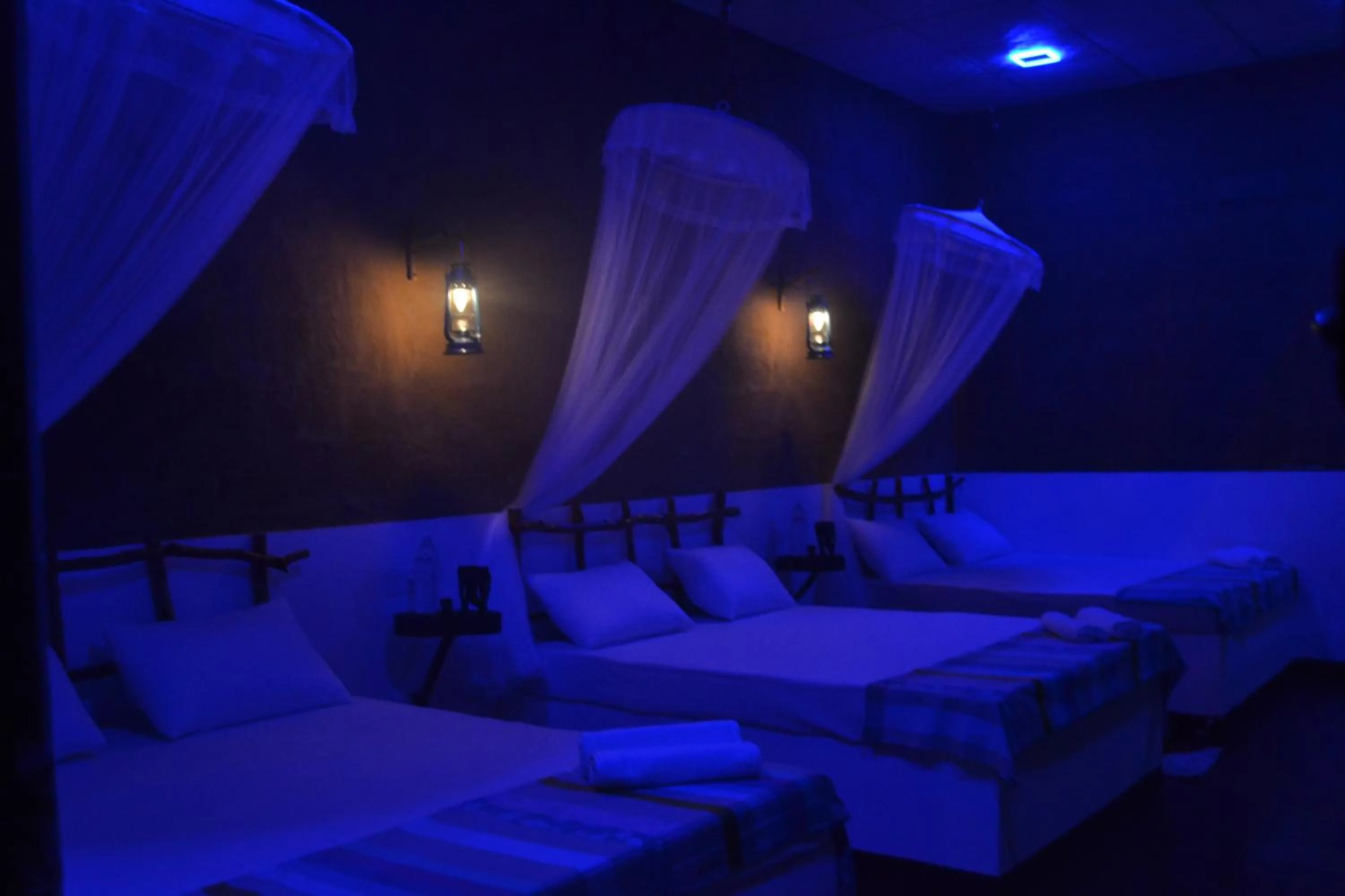 Nature lovers Safari Cottage