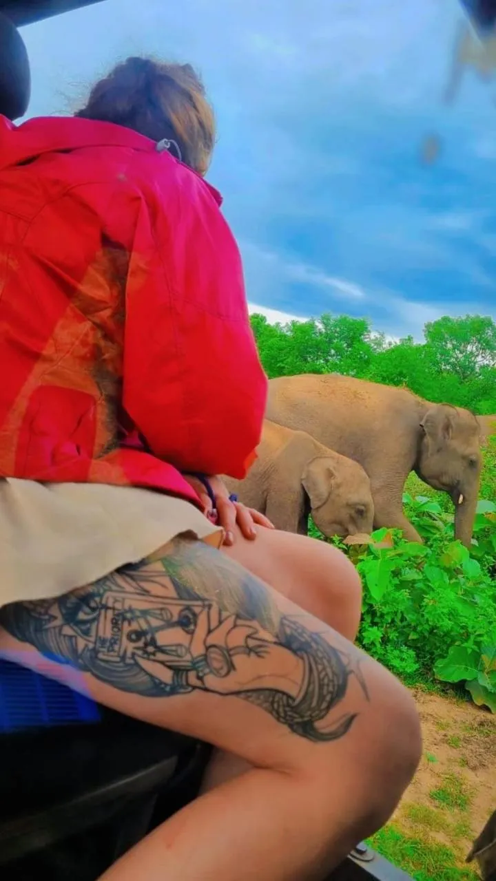 Nature lovers Safari Cottage