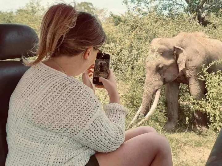 Nature lovers Safari Cottage