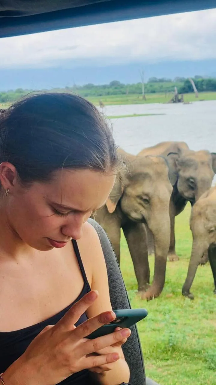 Nature lovers Safari Cottage