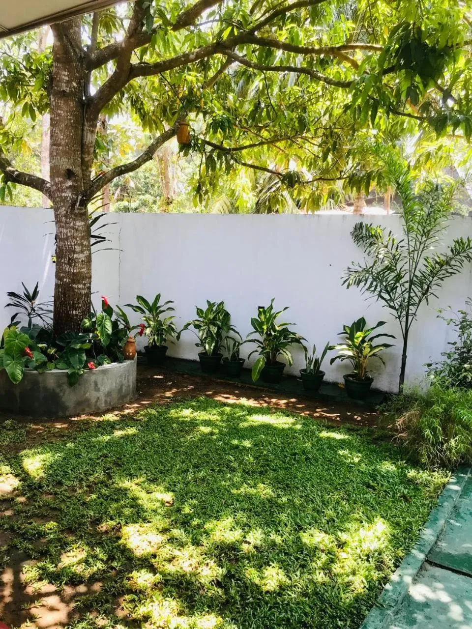 Nature lovers Safari Cottage