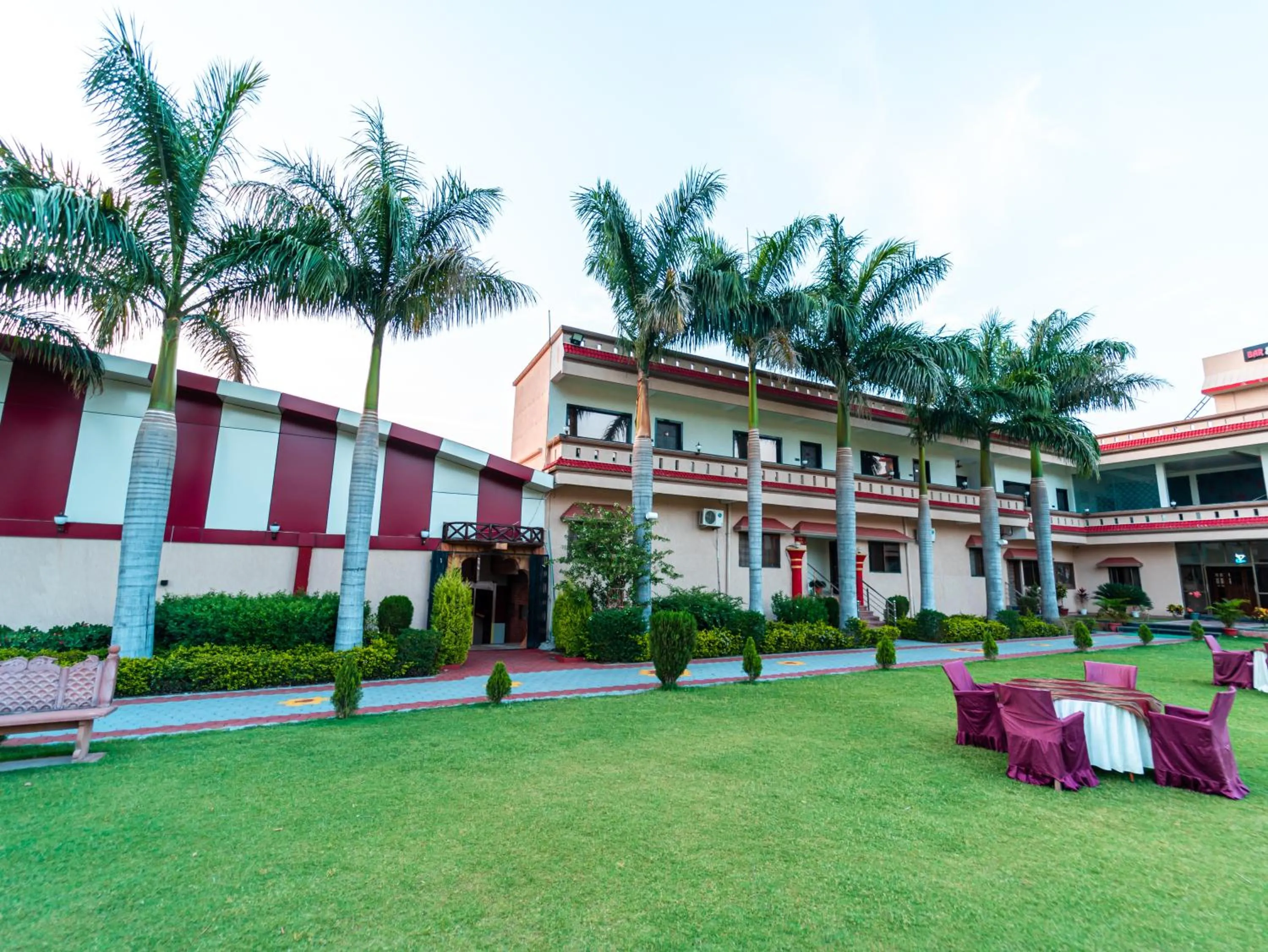 Garden in Hotel Royal Palace