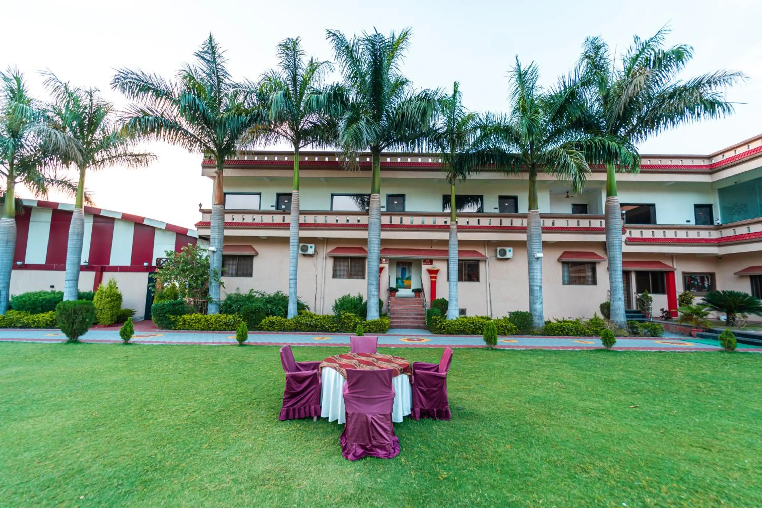 Garden in Hotel Royal Palace