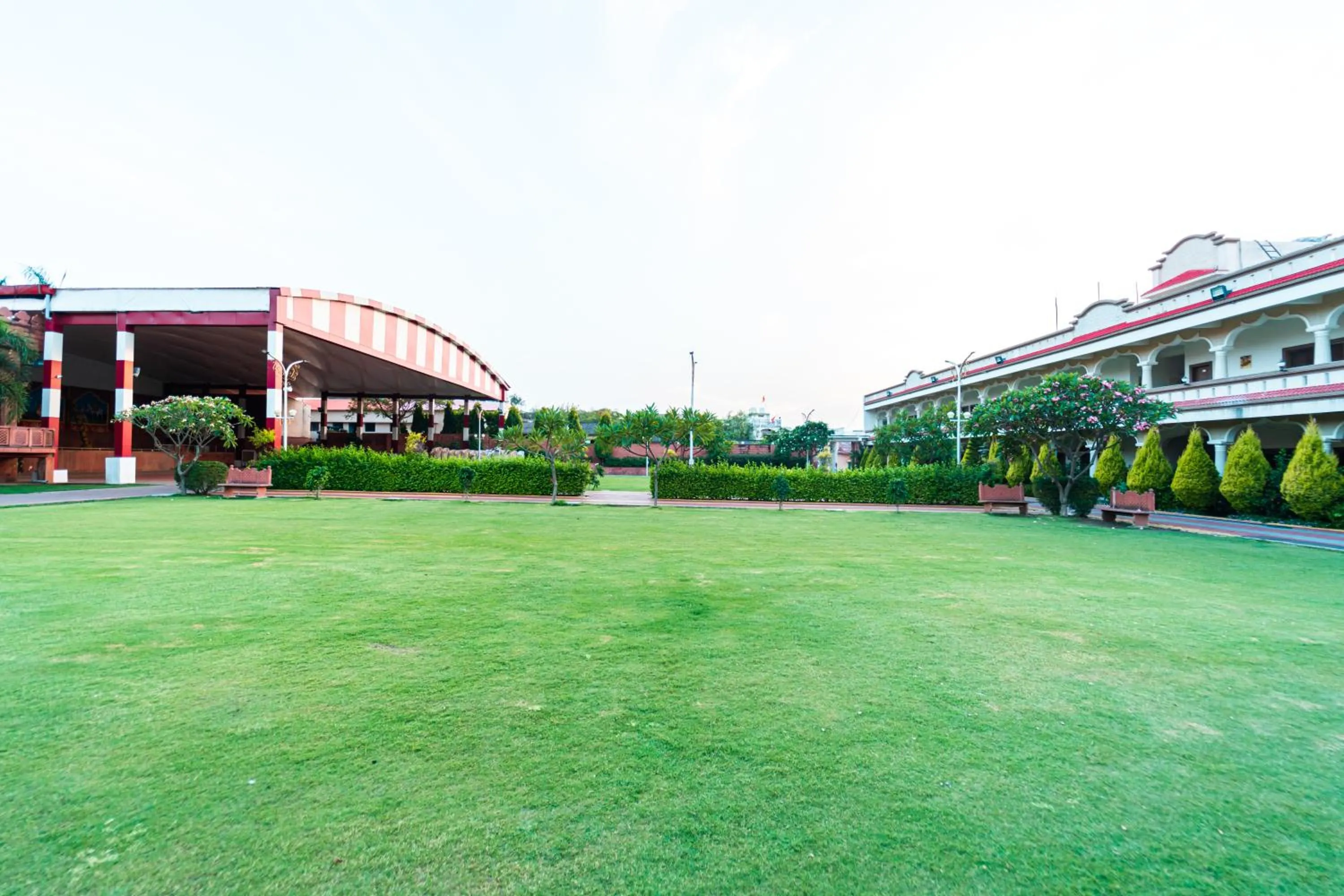 Garden in Hotel Royal Palace