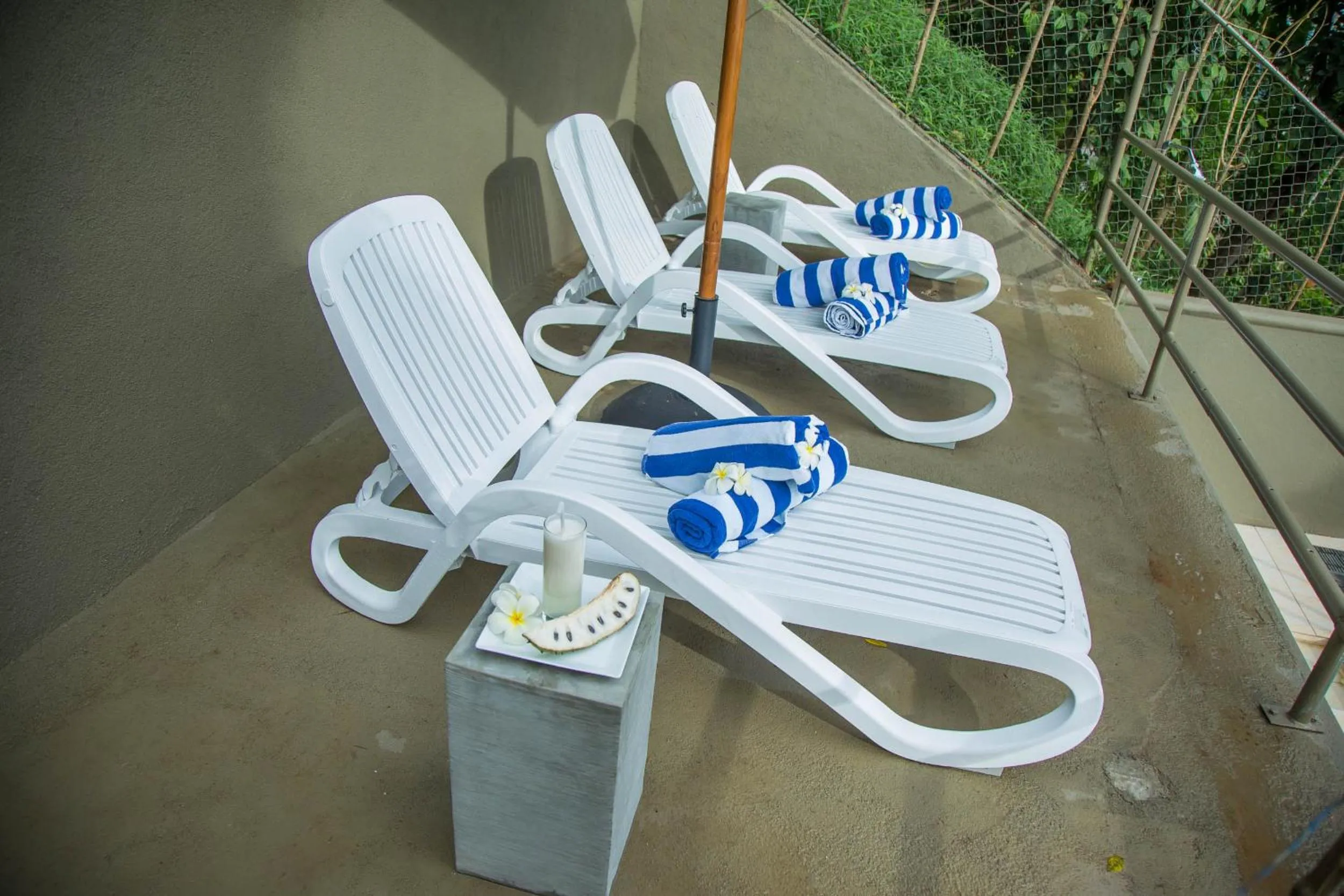 Activities in Range Kandy