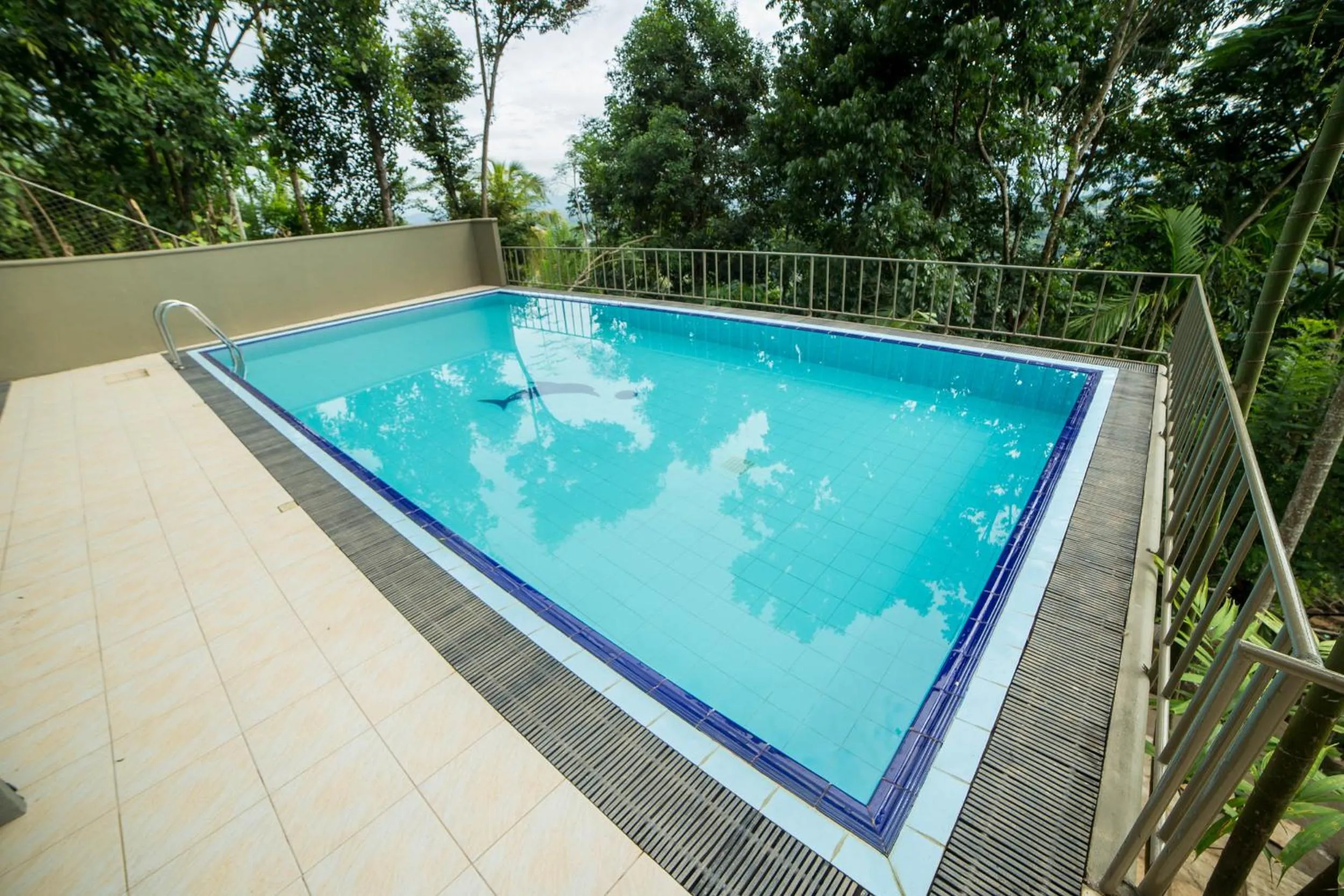 Activities in Range Kandy