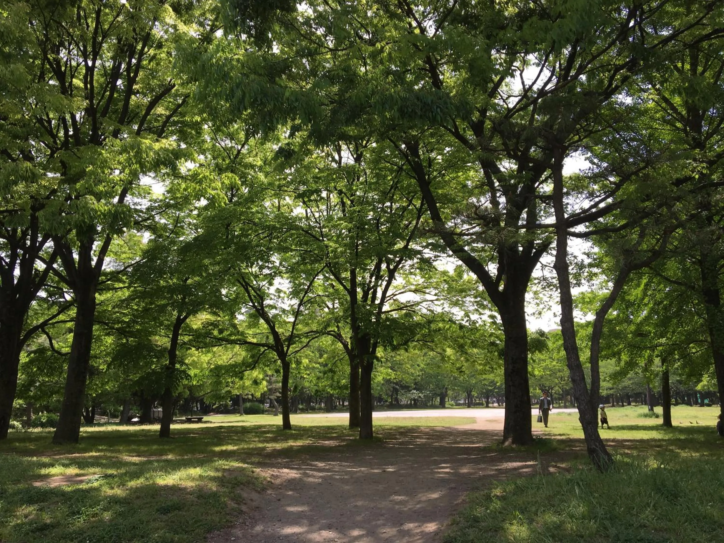 Nearby landmark in LYURO Tokyo Kiyosumi by THE SHARE HOTELS