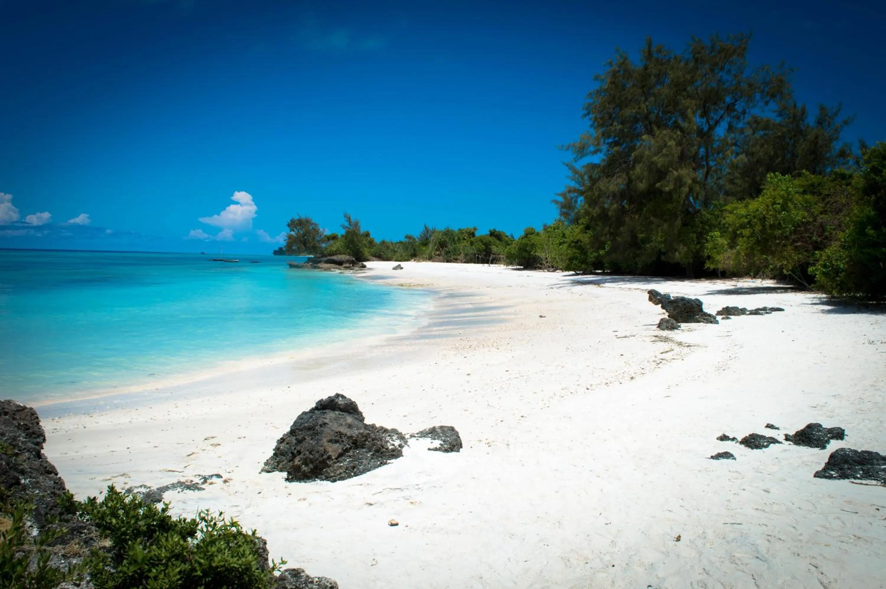 Natural landscape in Pemba Paradise