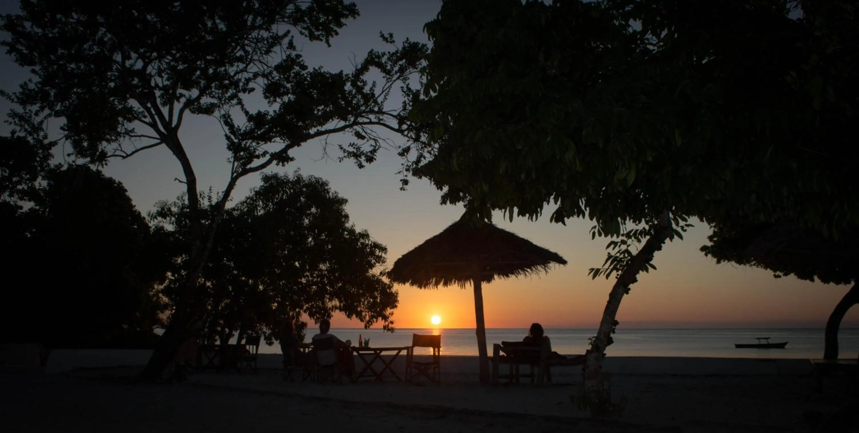 Beach in Pemba Paradise