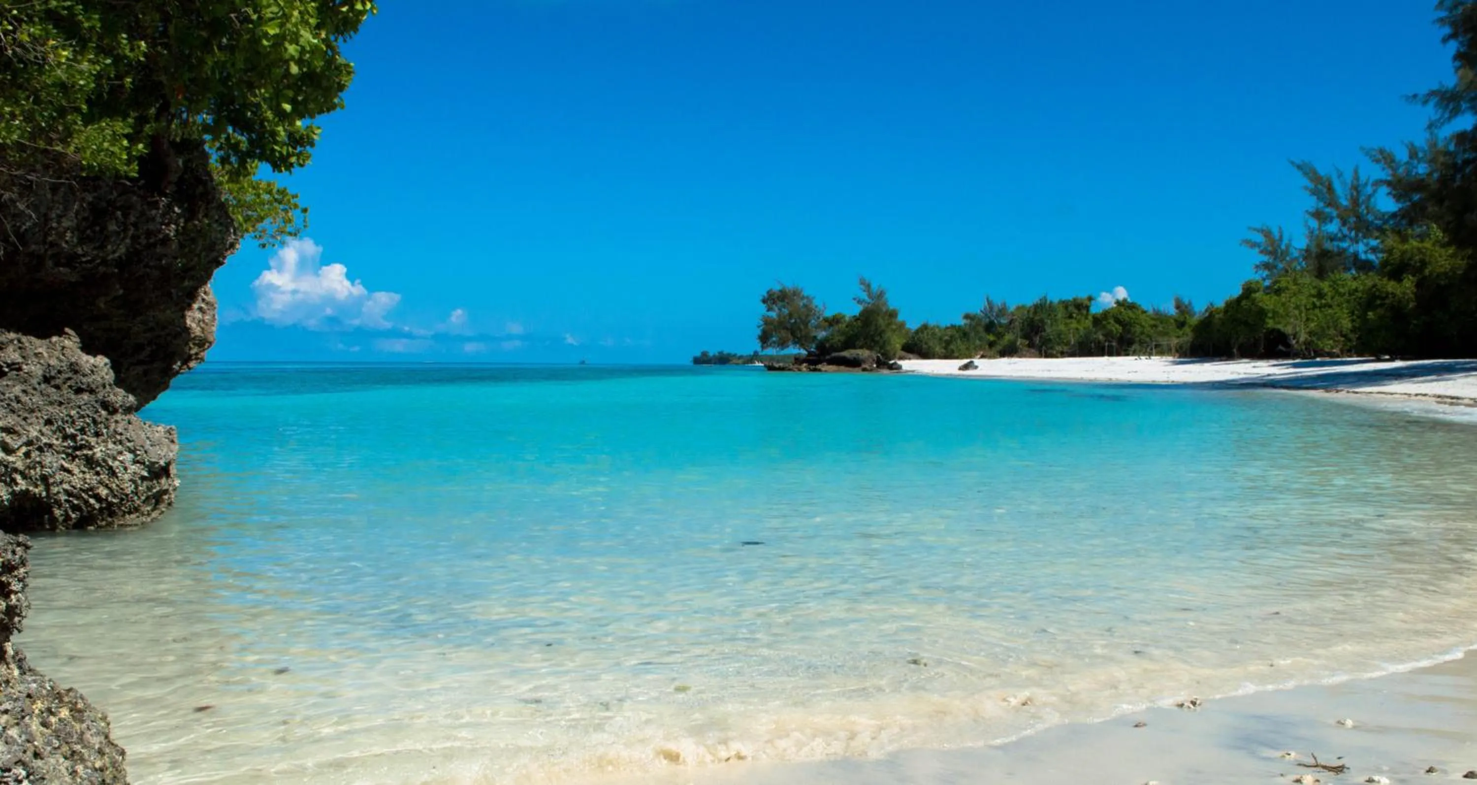 Beach in Pemba Paradise
