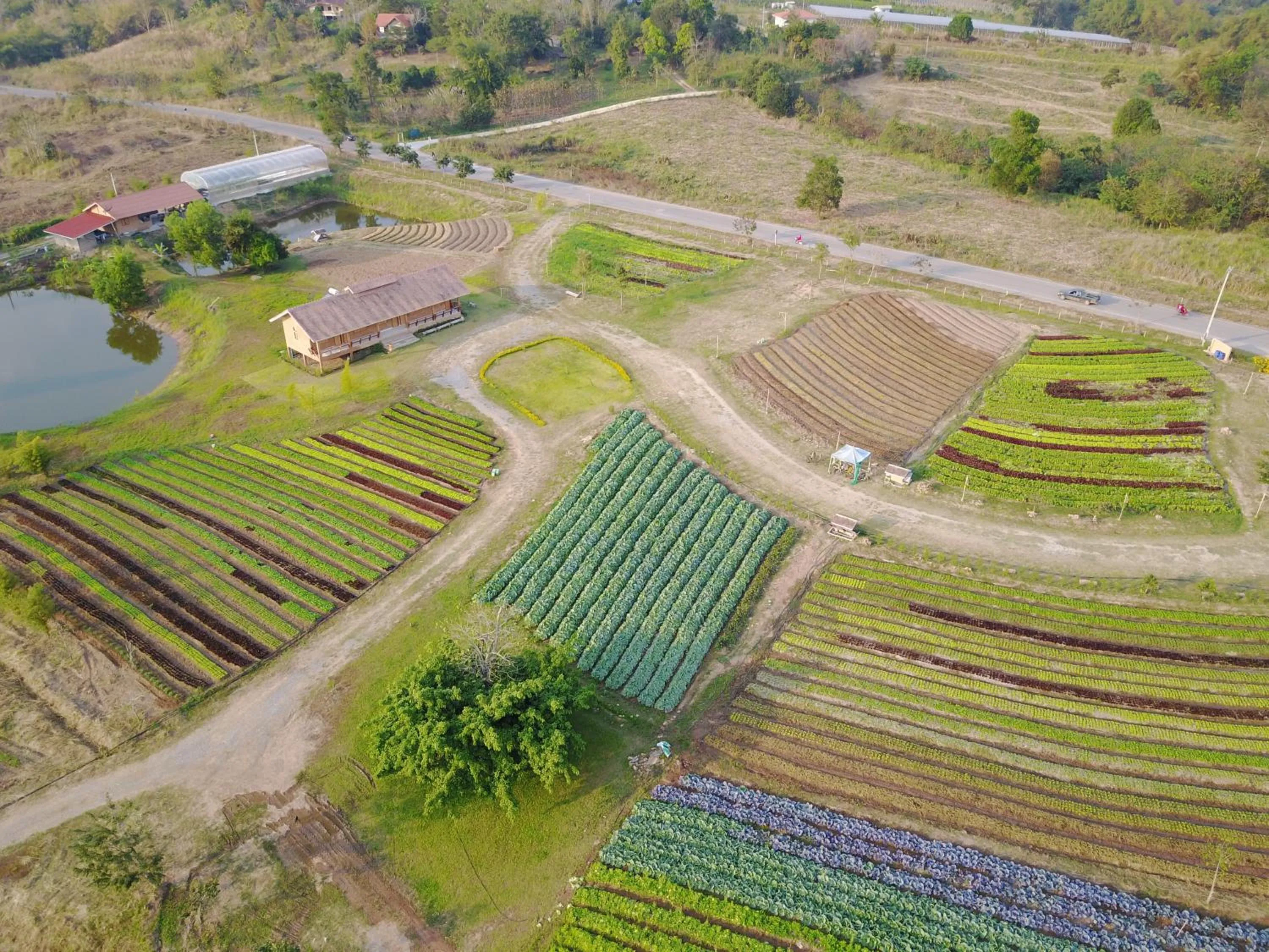 Natural landscape in COOLLiving Farmhouse Organic