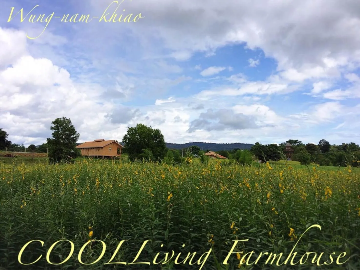 View (from property/room) in COOLLiving Farmhouse Organic