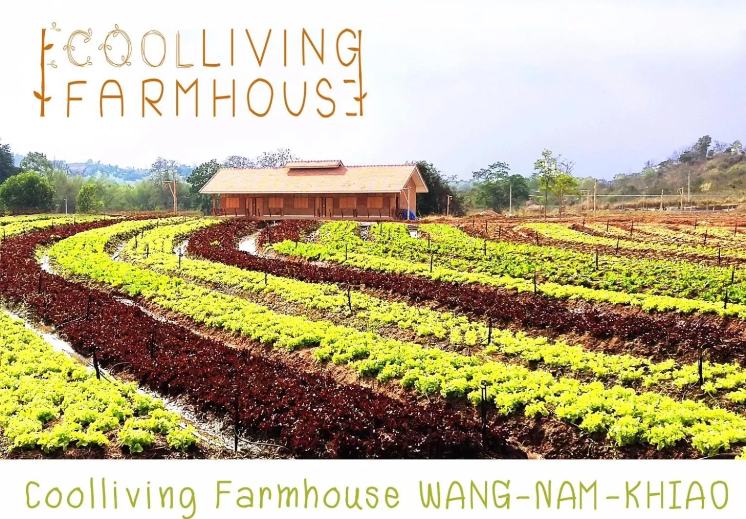 Property building in COOLLiving Farmhouse Organic