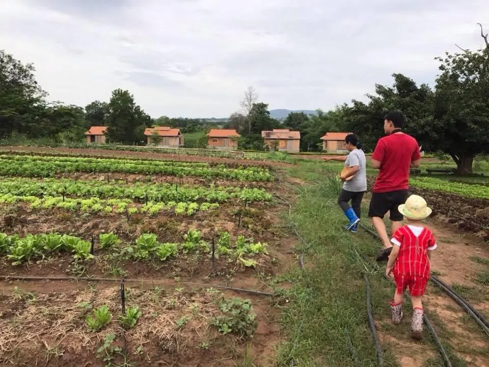 Activities in COOLLiving Farmhouse Organic