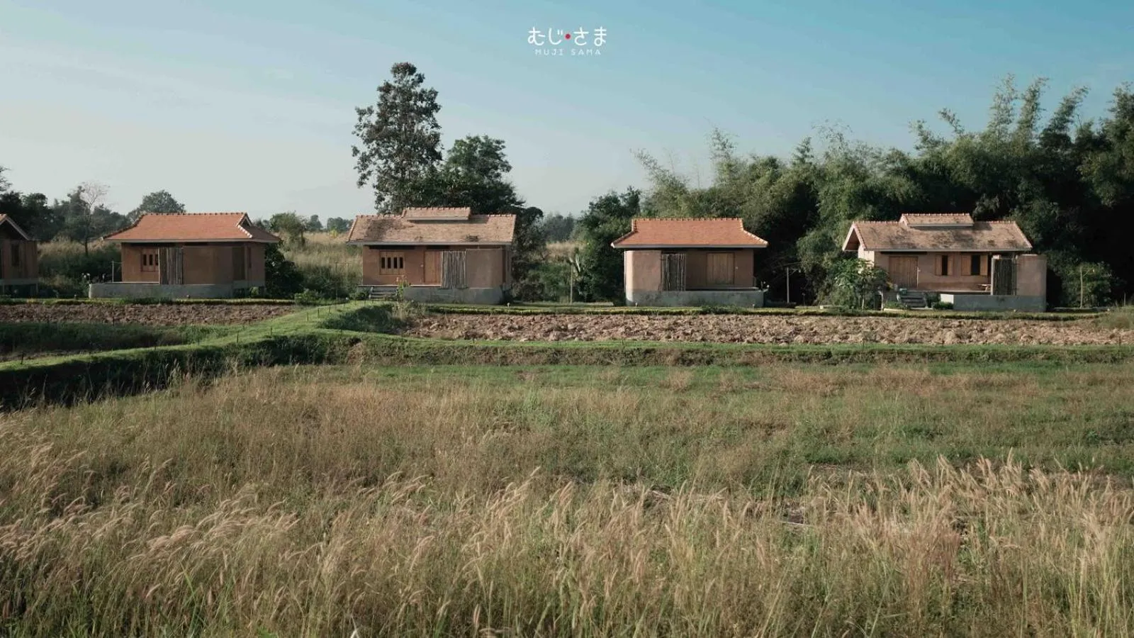 Patio in COOLLiving Farmhouse Organic
