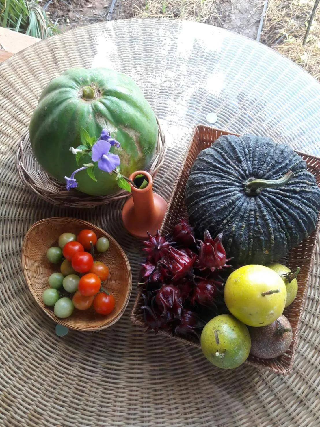 Food close-up in COOLLiving Farmhouse Organic