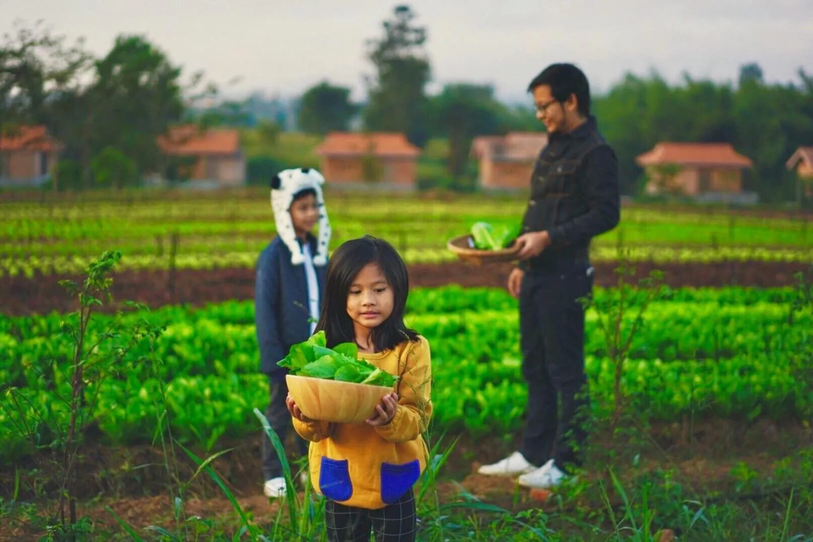 Garden in COOLLiving Farmhouse Organic
