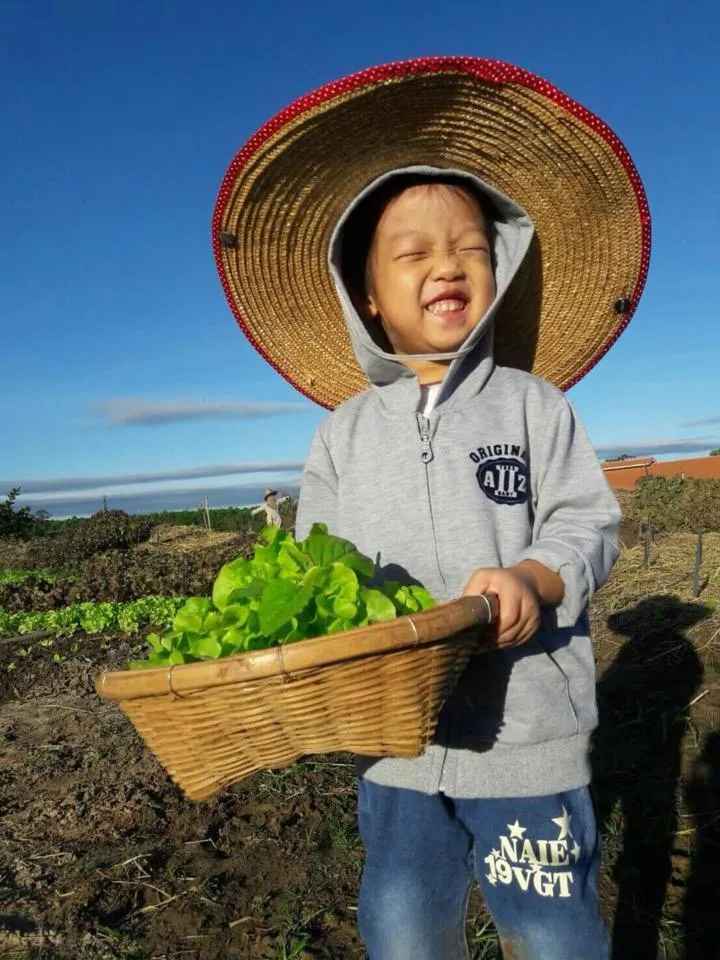 Game Room in COOLLiving Farmhouse Organic