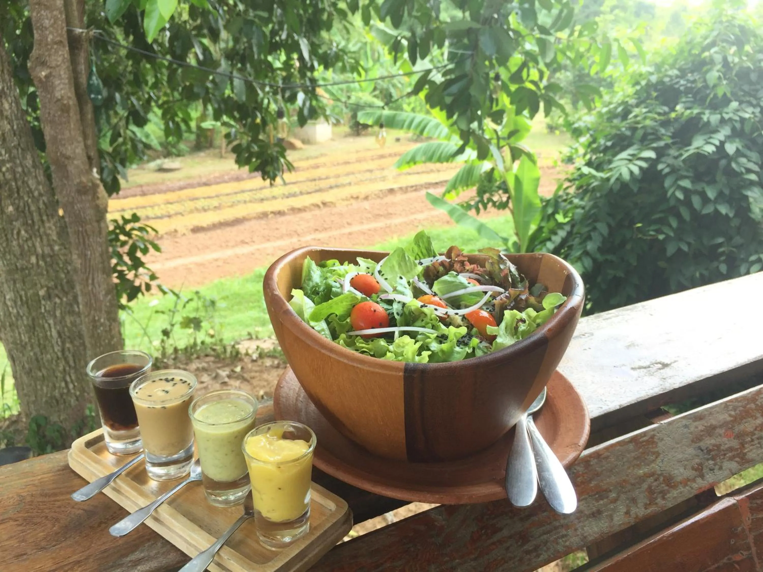 Meals in COOLLiving Farmhouse Organic