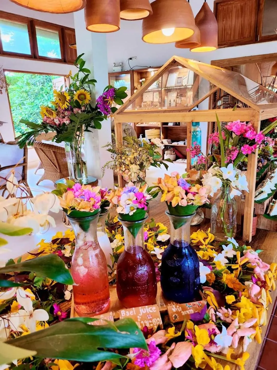 Restaurant/places to eat in COOLLiving Farmhouse Organic