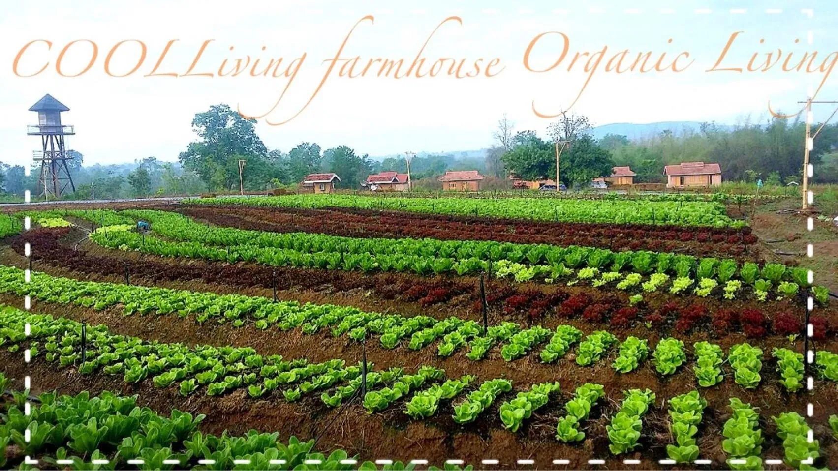 Balcony/Terrace in COOLLiving Farmhouse Organic