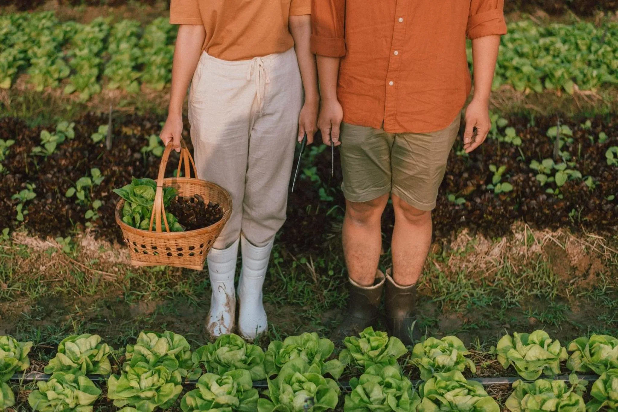 Activities in COOLLiving Farmhouse Organic