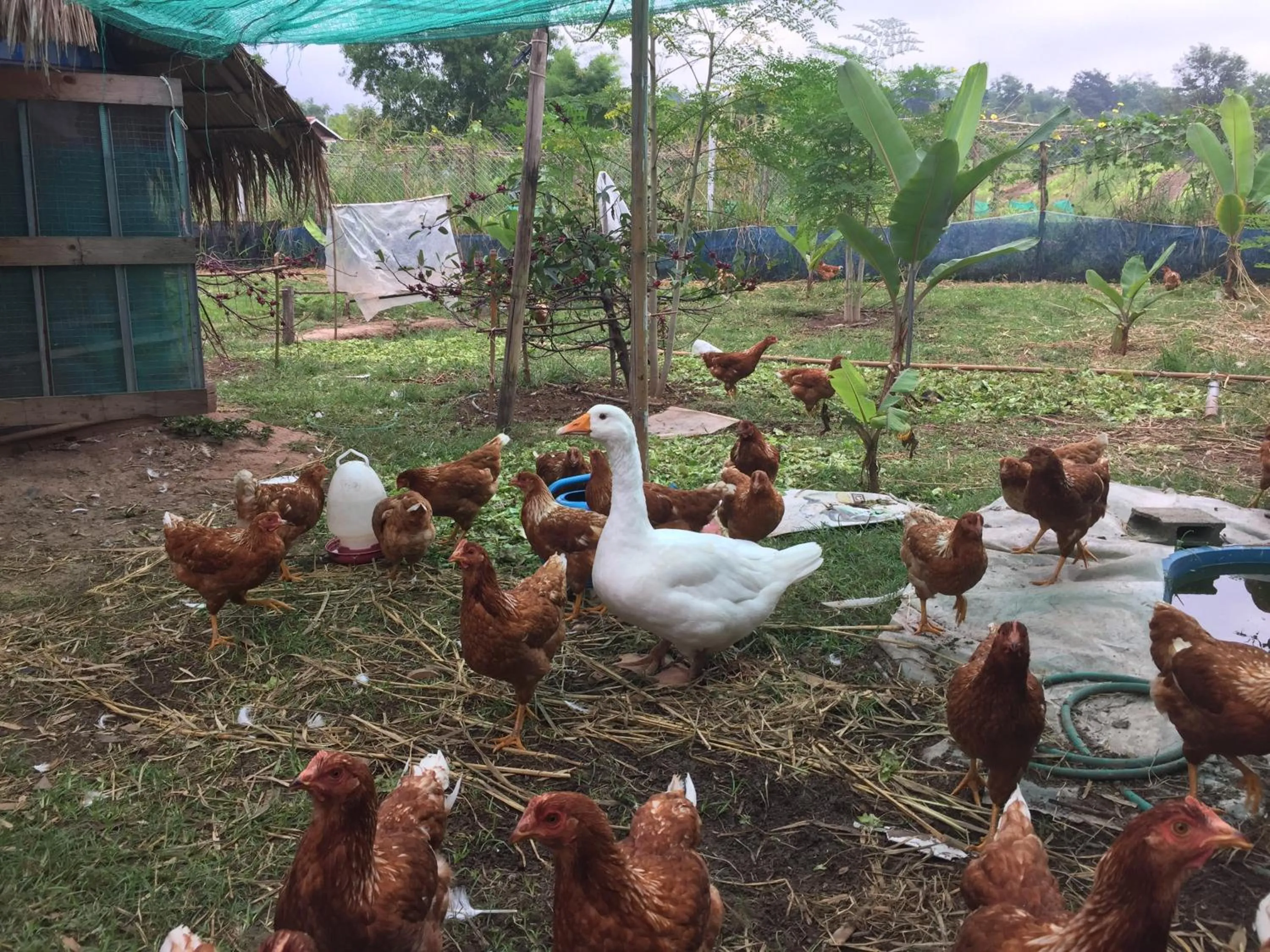 Staff in COOLLiving Farmhouse Organic