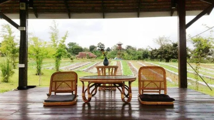 Patio in COOLLiving Farmhouse Organic