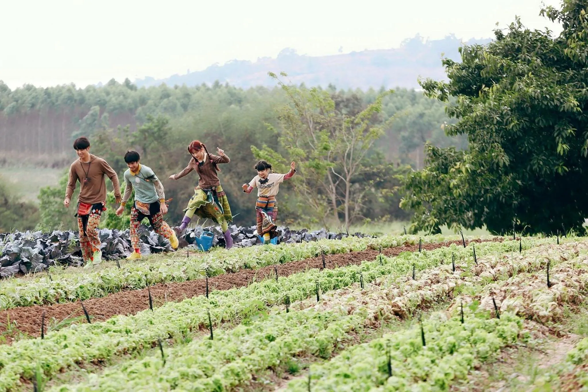 Entertainment in COOLLiving Farmhouse Organic