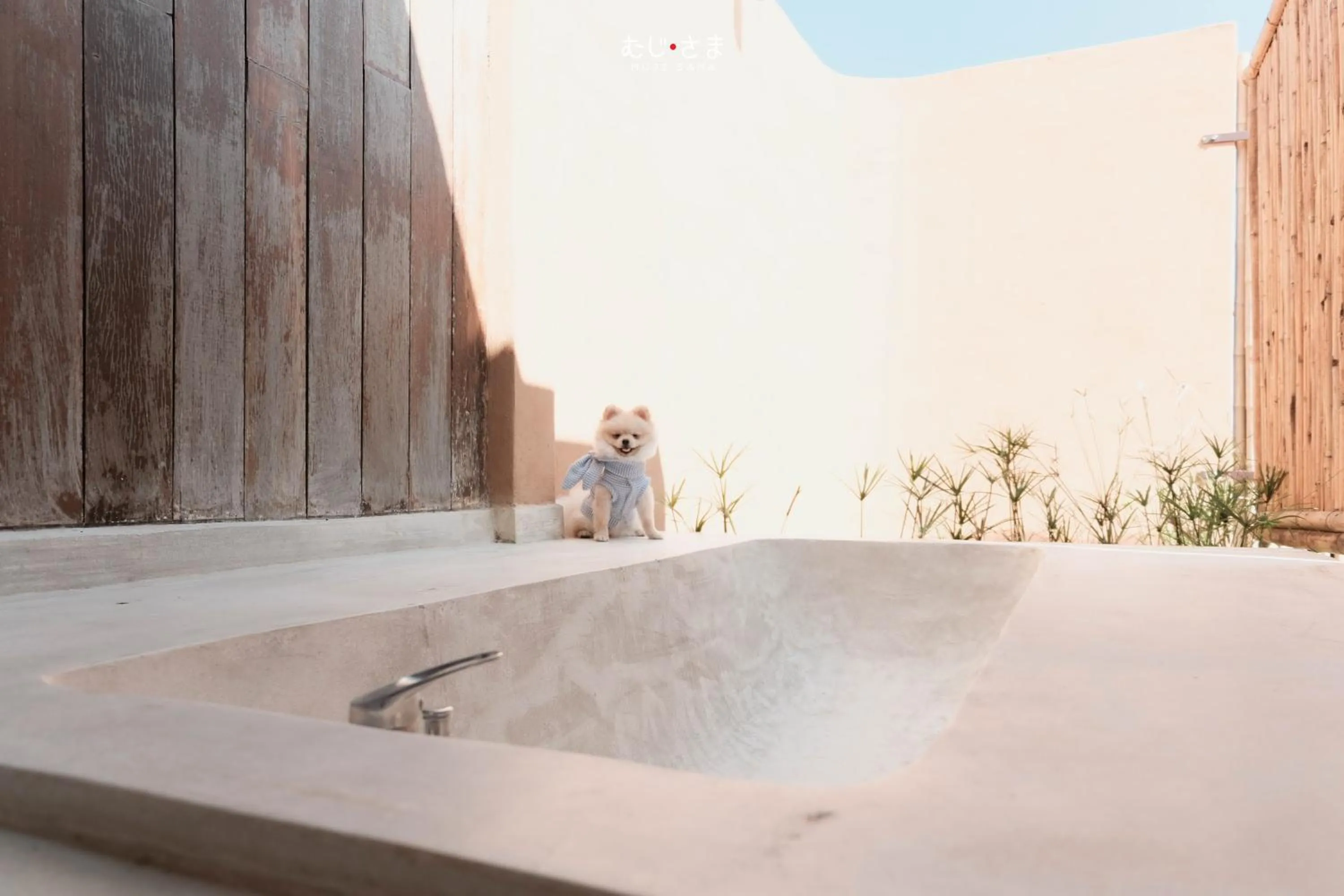 Bathroom in COOLLiving Farmhouse Organic