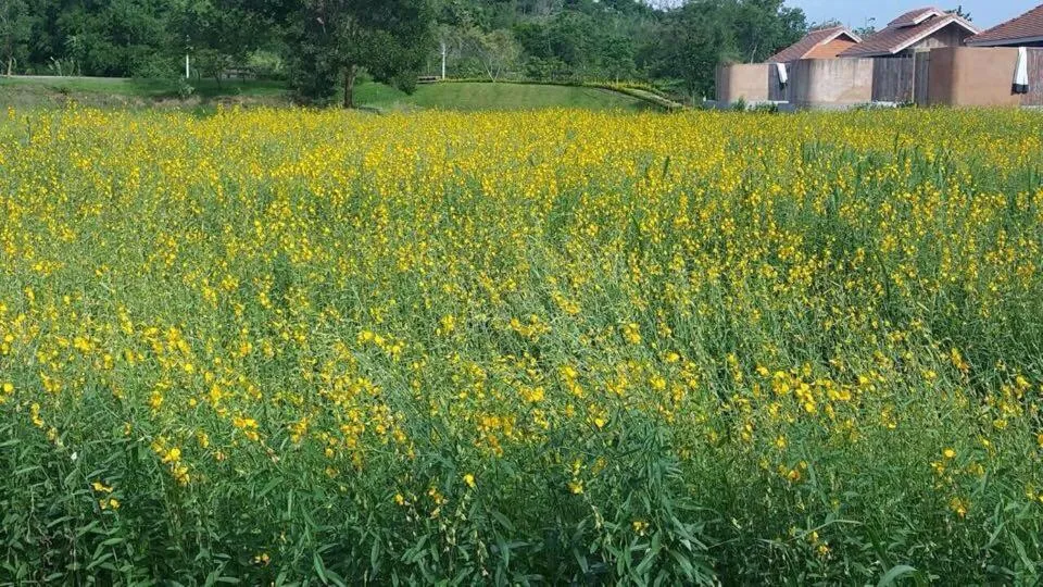 Other in COOLLiving Farmhouse Organic