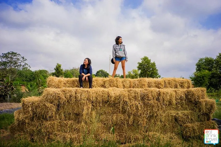 View (from property/room) in COOLLiving Farmhouse Organic