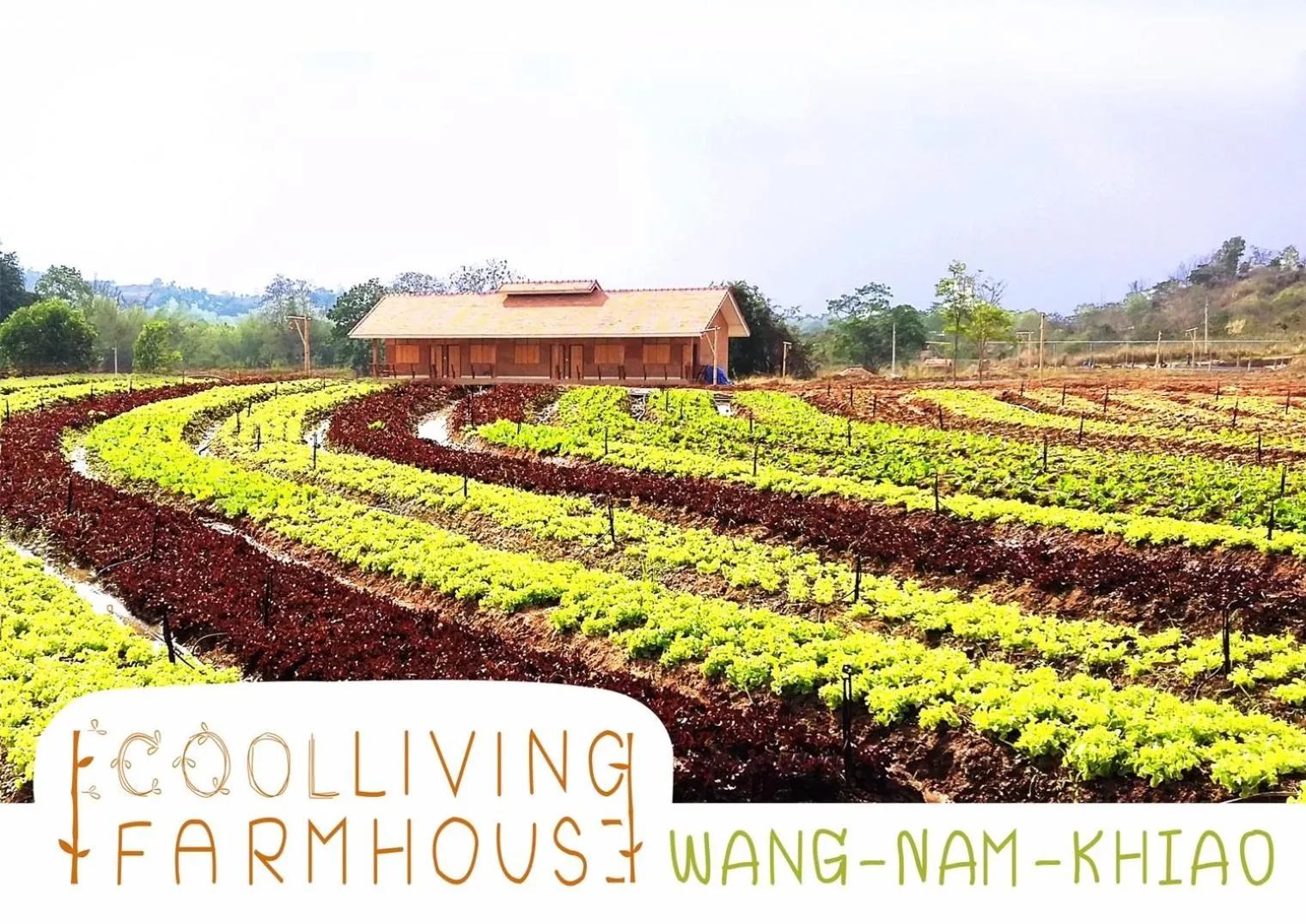 Natural landscape in COOLLiving Farmhouse Organic