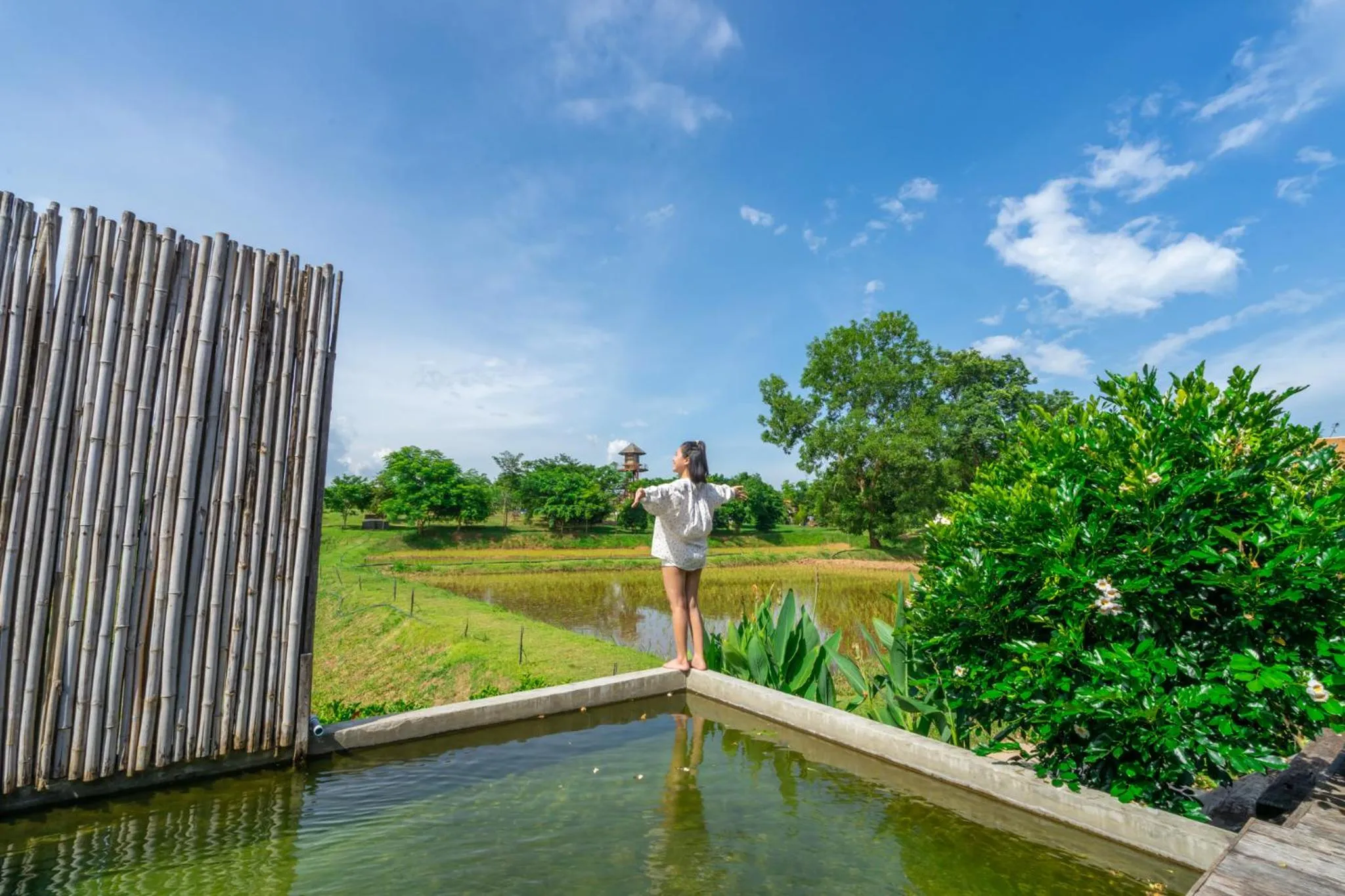 Garden view in COOLLiving Farmhouse Organic