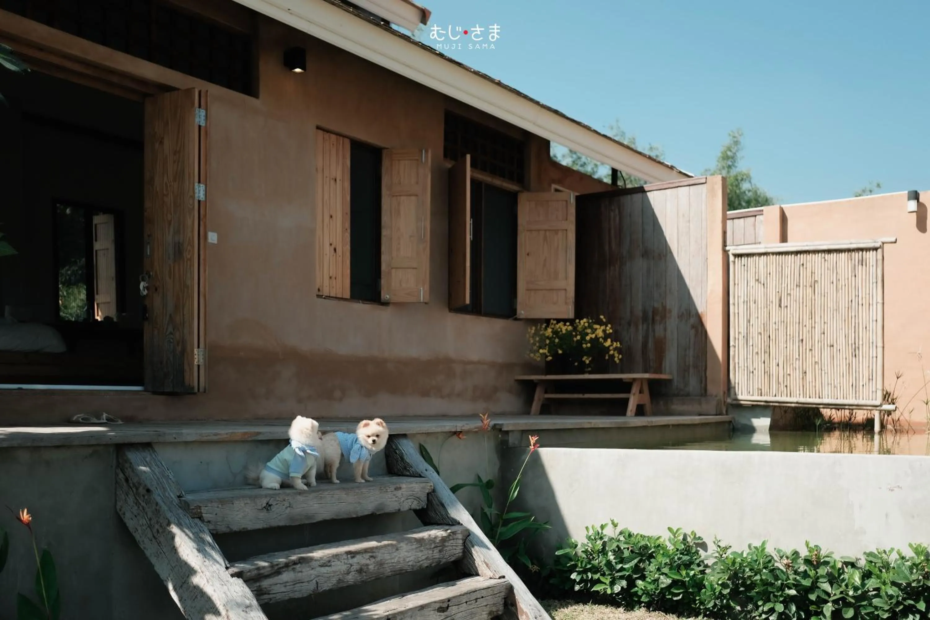 Patio in COOLLiving Farmhouse Organic
